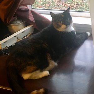 Meet your Posher, Aimee